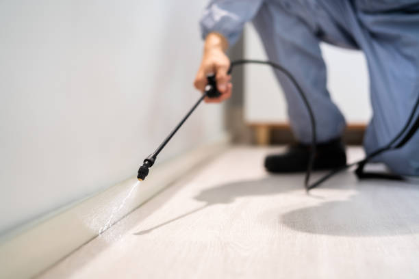 Licensed Pest Control service in Jamestown, OH - Show Me Pest Control